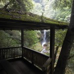 【香川県・バーベキューと川遊びができるポイント】三木町「虹の滝（こうのたき）キャンプ場」を視察してきた
