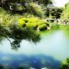 【香川県観光オススメ名所：栗林公園】日本三大庭園を越えた？ミシュラン3つ星公園で鯉遊び