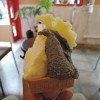 【甘～い香川県観光！おすすめのアイス＆ジェラート8選】讃岐の夏は甘さで凌げ！？