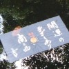 【観光】島根のパワースポット八重垣神社は縁結びパワーがすごかったりする
