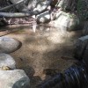【秘境・来栖渓谷】大窪寺へ繋がる遍路道の清涼感がハンパナイ！（動画＋画像アリ）