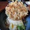 【超人気の讃岐うどん！高松市『もり家』レビュー】通販or来店前にチェックのオススメうどん編！